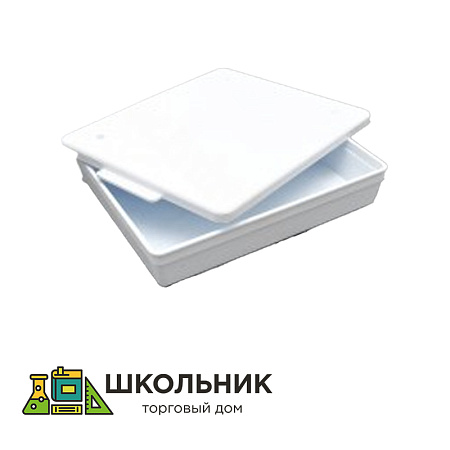 Лоток ученический пластмассовый