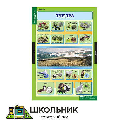 Окружающий мир 4 класс