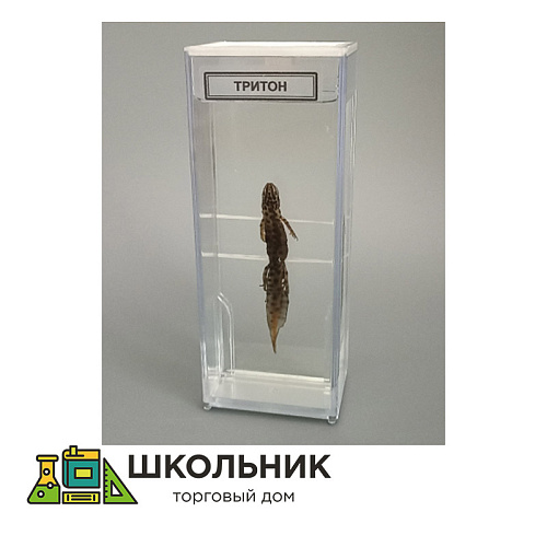 Влажный препарат "Тритон"