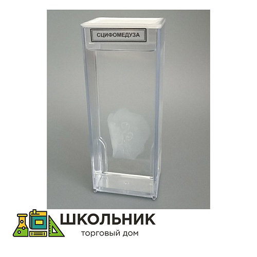 Влажный препарат "Сцифомедуза"