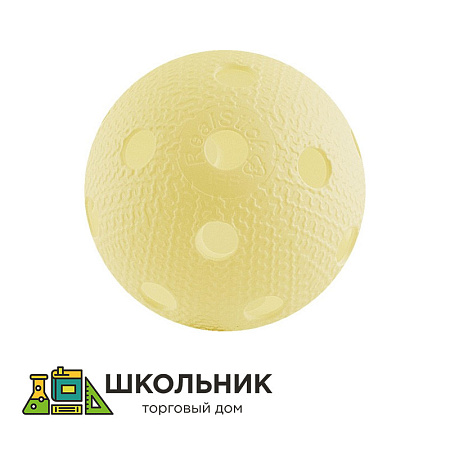 Мяч для флорбола RealStick