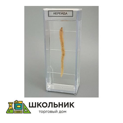 Влажный препарат "Нереида"