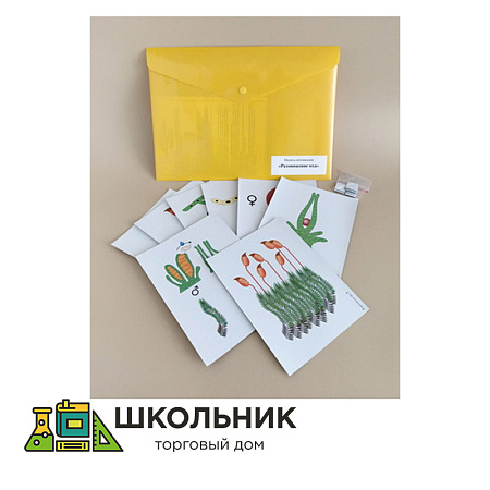 Модель-аппликация Размножение мха