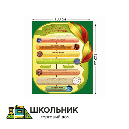 Стенд "Уровни организации живой природы" пластик 3 мм размер 1000 х 1500 мм