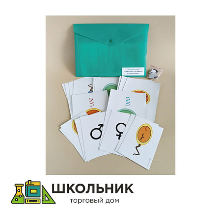 Модель-аппликация Гаметогенез у человека и млекопитающих