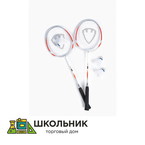 Набор для бадминтона TORRES