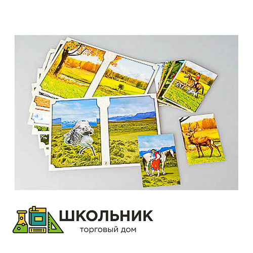 Настольно-печатная игра "Вокруг света"