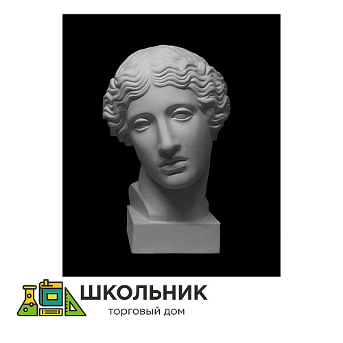 Голова Амазонки