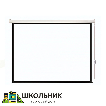Экран с электроприводом